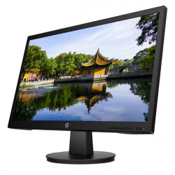 Màn hình máy tính HP V22 21.5 inch FHD TN 9SV79AA